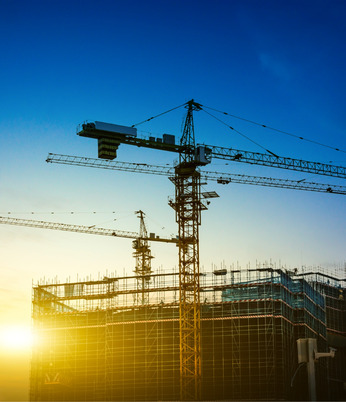 Peyzaj Düzenlemesi Yaptırırken Bunlara Dikkat Etmeyi Unutmayın